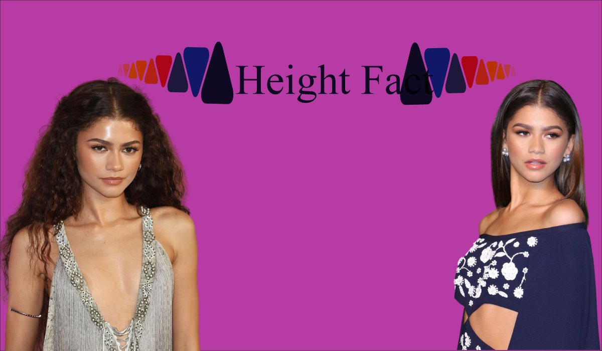 Zendaya Net Worth