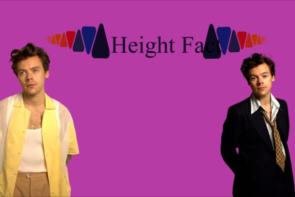 Harry Styles Net Worth