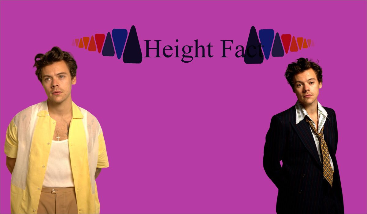 Harry Styles Net Worth