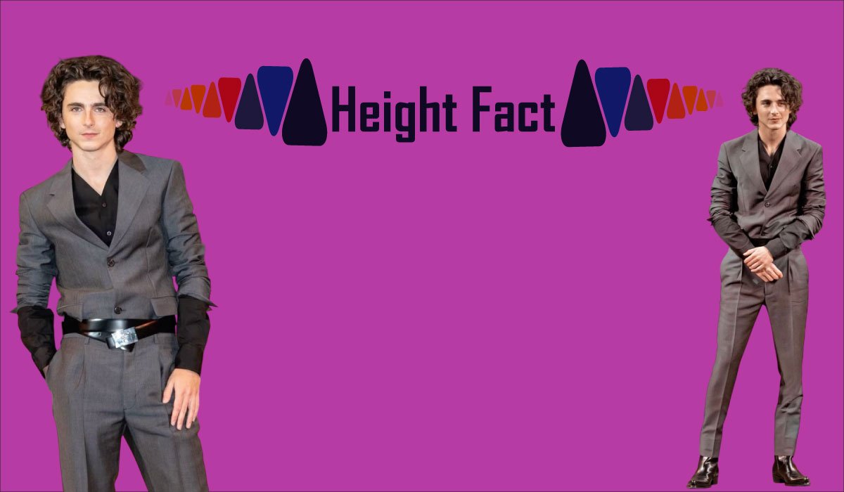 Timothée Chalamet Net Worth